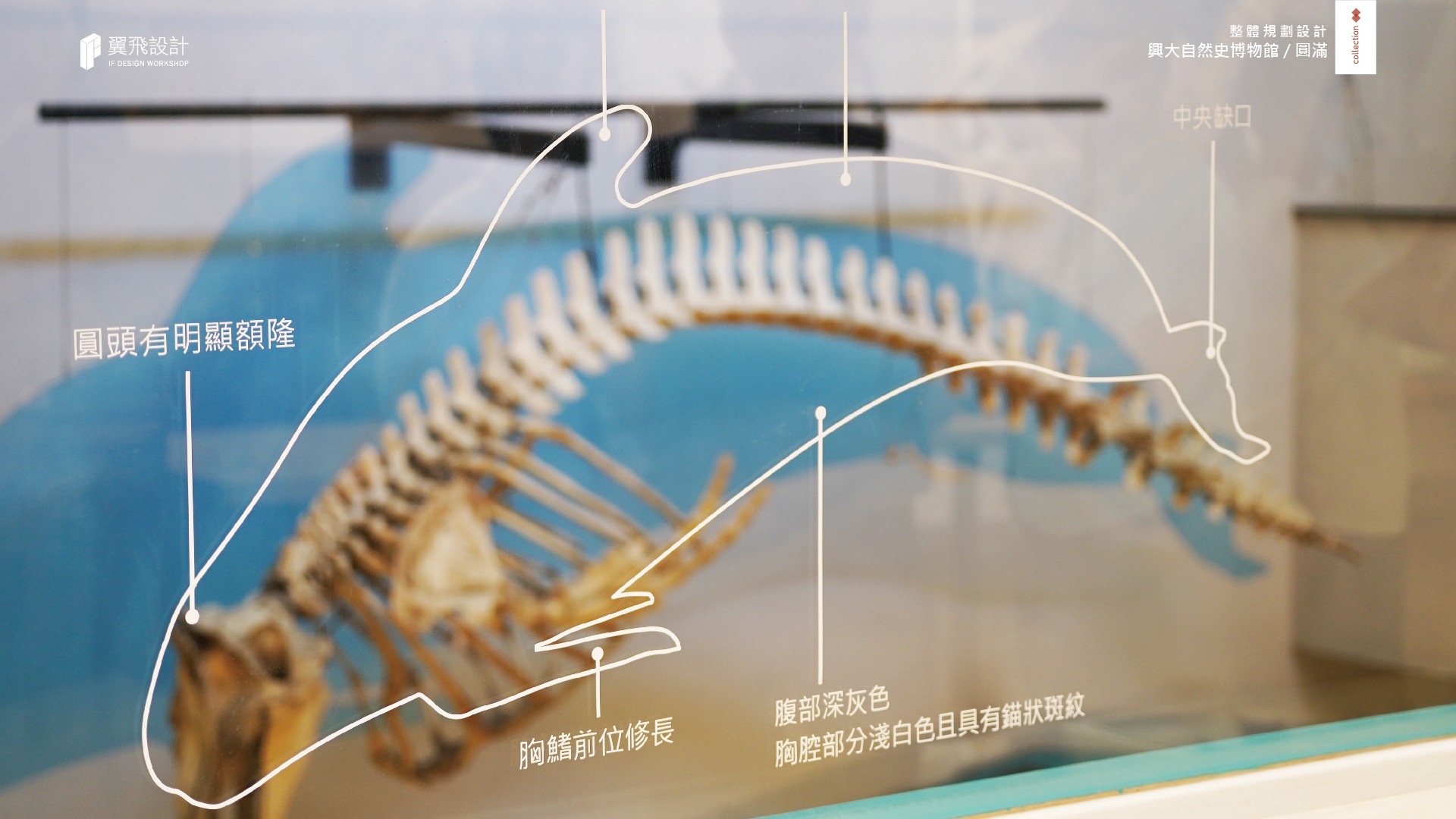 中興大學、興大、生科院、博物館、設計、展示、室內設計